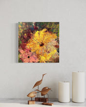 Load image into Gallery viewer, Serene - ‘24 Spring Series