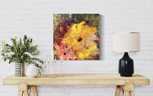 Load image into Gallery viewer, Serene - ‘24 Spring Series